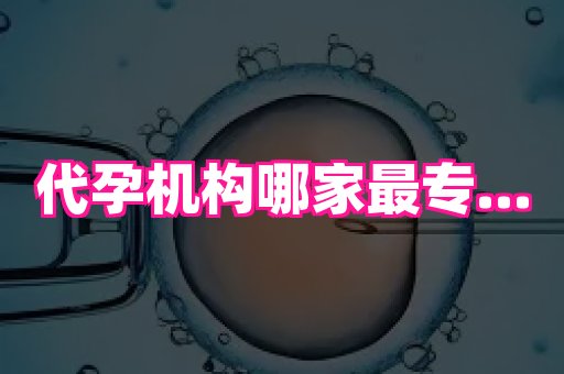杭州助孕网 1