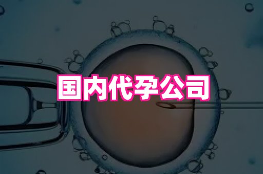 杭州助孕网 1