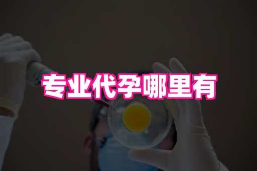 杭州助孕网 2
