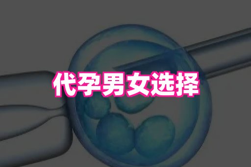 杭州助孕网 3