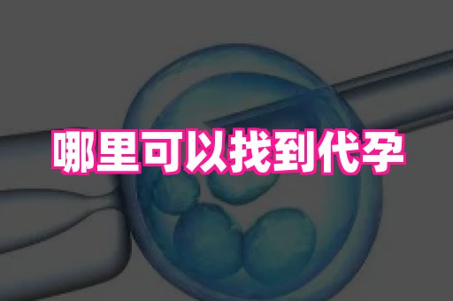 杭州助孕网 3