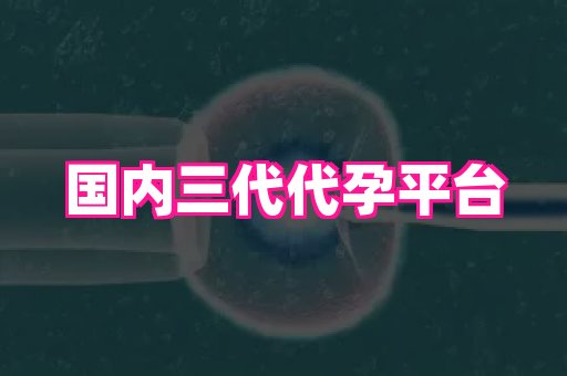杭州助孕网 4