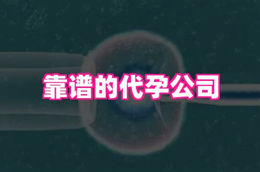 杭州助孕网 4